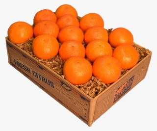 Temple Oranges - Tangerine