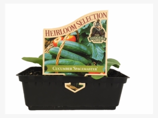 Storage Basket