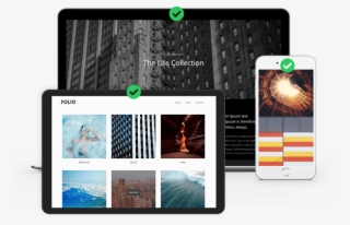 Responsive Website Design India - Iphone