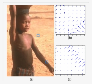 Inverse Variance Of The Weighted Gradient Orientation - Barechested