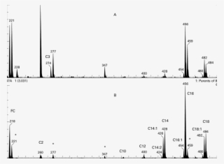 Blood Spot Free Carnitine And Acylcarnitine Profiles - Diagram