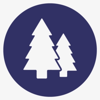 Trees - Circle