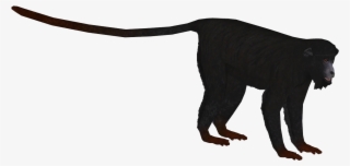 Red-handed Howler Monkey - Howler Monkey Zoo Tycoon Png