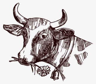 Svg Free Library Texas Longhorn Milk Drawing Sketch - Creative Texas Drawings