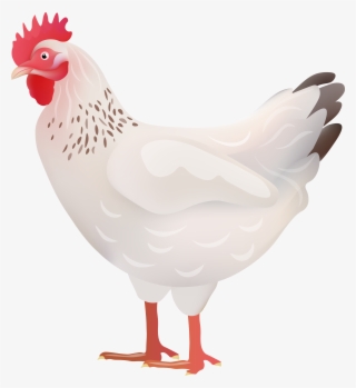 White Hen Transparent Image