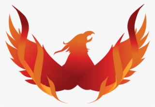Free 12 Week Program - Eagle