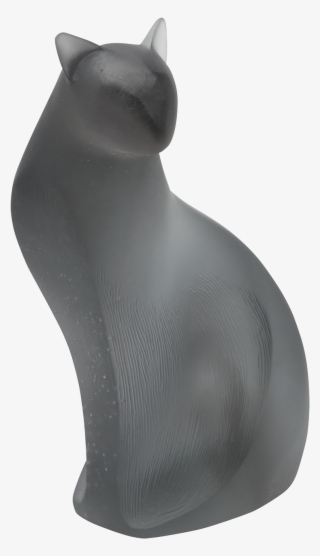 Chat Gris 375 Exemplaires 05304