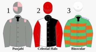 2009 Champion Hurdle - Cardigan