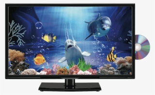 773 X 505 9 - Lcd Tv Hd