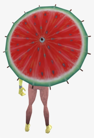 Hardy Kiwi