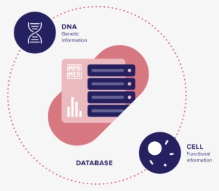 Database - Graphic Design
