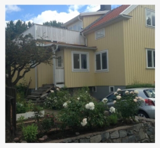 Amazing Stockholm 4 11 August 18 - Flower