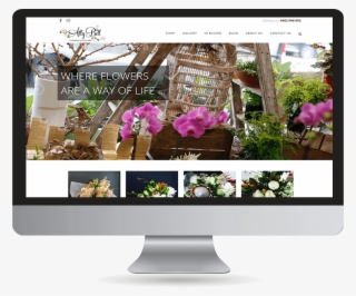 Ally Bell - Japanese Camellia