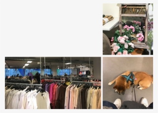 The Army Shop // Broadway And Sons - Boutique