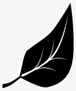 Leaf Leaves, Free Logo, Letterhead, Logos, Lettering,