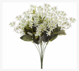 478120wh - Bouquet