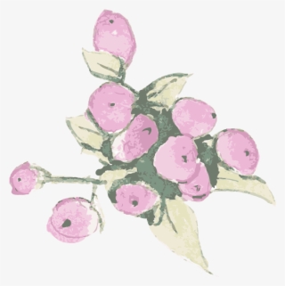 Bunch - Garden Roses