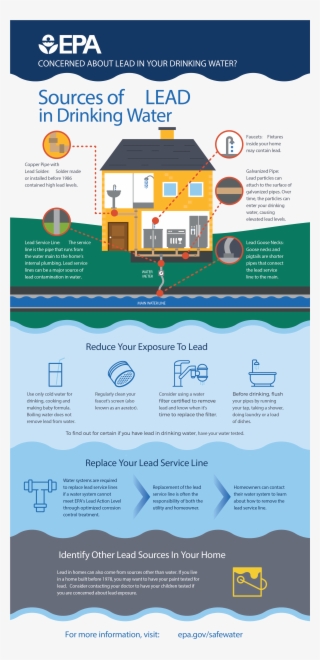 About The Issue - Lead Paint