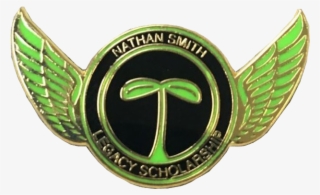 Eagles Wings Pin, Eagles Wings Pin Suppliers And Manufacturers - Emblem