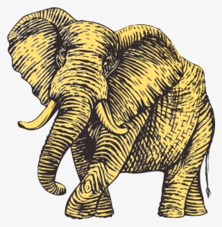 Order Online Tadka House - Indian Elephant