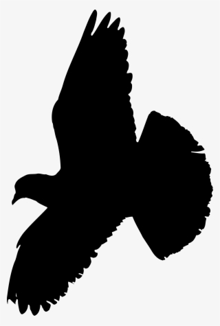 This Free Icons Png Design Of Pigeon