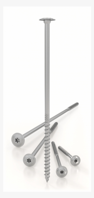 Large Head Screw - Monochrome