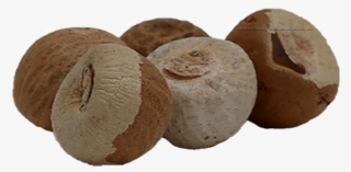 Fruit