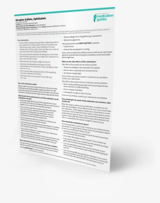 Easy To Print Medication Guides For Pet Owners - Paper