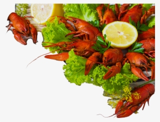 Seafood Png