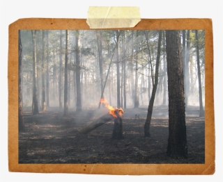 1 - Picture Frame