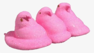 Peep Peeps Chick Chicks Candy Marshmallow Marshmello - Bath Toy