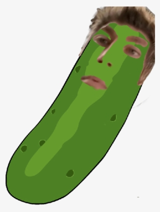 My Name Pickle Jeff - Pickle Rick Profile