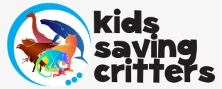 Graphic Design