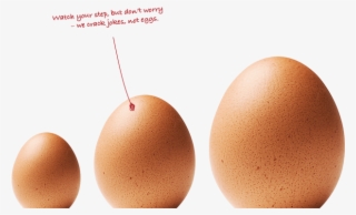 Think Career - Egg