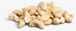 Cashew