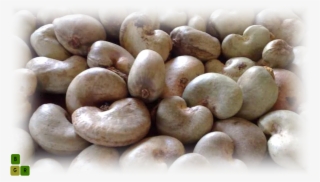 Cashew Nut Extract - Cashew Nuts In Nigeria