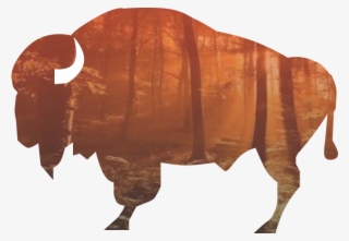 Vector File Download - Bison