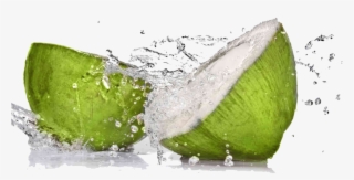 Graphic Freeuse Stock Transparent Coconut Tender - Tender Coconut Water Png
