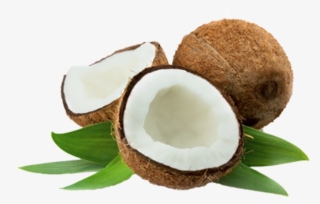 Coconut Thenarasu - Coconut