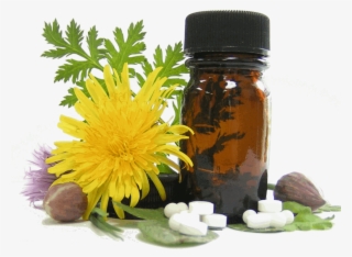 Homeopathy Is Based On These Principles - Electro Homeopathy