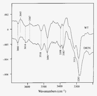 Comparison Of The Ftir Difference Spectra For The Rho - Diagram