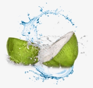 Coconut Water Transparent Background