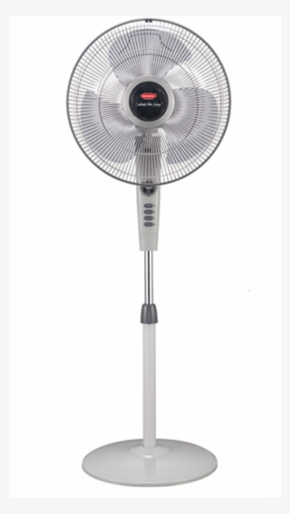 More Views - Europace Standing Fan