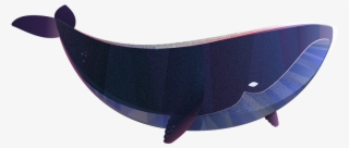Creativity And Imagination - Whale