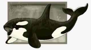Sea Monster - Killer Whale
