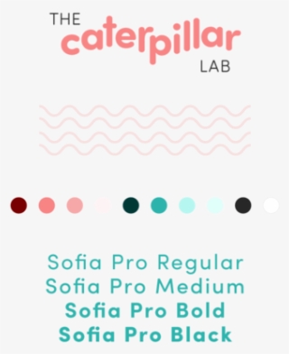 The Caterpillar Lab - Graphics