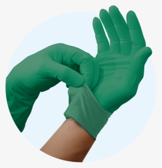 Digitsafety Halokote™ Powder-free Latex Exam Gloves - Digitcare Corporation