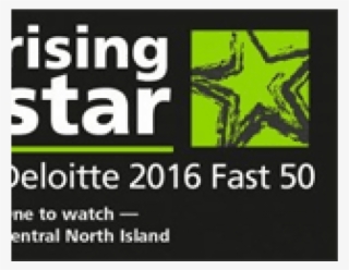 Deloitte 2016