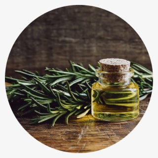Rosemary