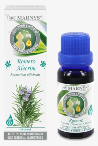 Rosemary Essential Oil - Aceite De Anis Estrellado